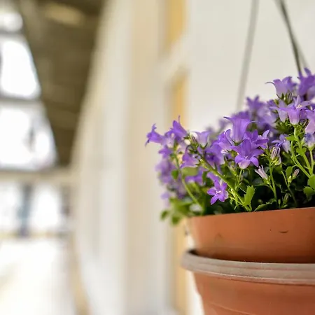 Apartman Rise And Shine Budapest