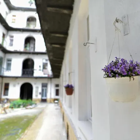 アパート Rise And Shine